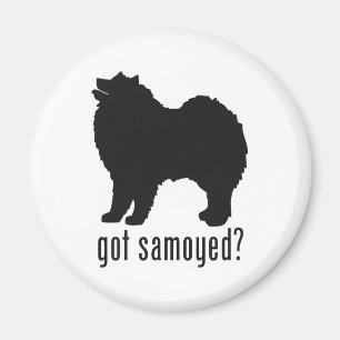 Imán Samoyedo