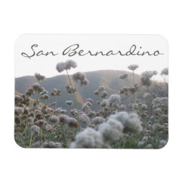 Imán San Bernardino