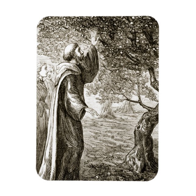 Imán San Columba transforma el fruto amargo en dulce, d (Vertical)