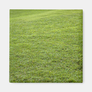 Imán San Juan, Puerto Rico - La hierba verde es