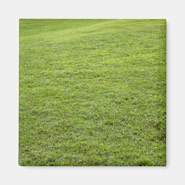 Imán San Juan, Puerto Rico - La hierba verde es (Frente)