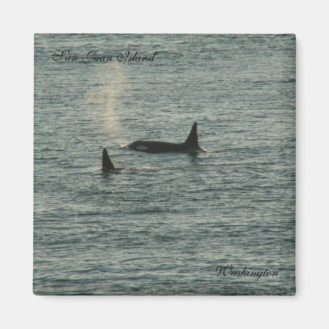 Imán San Juans (Frente)