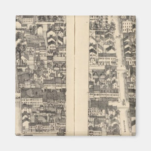 Imán San Luis, Misuri 12