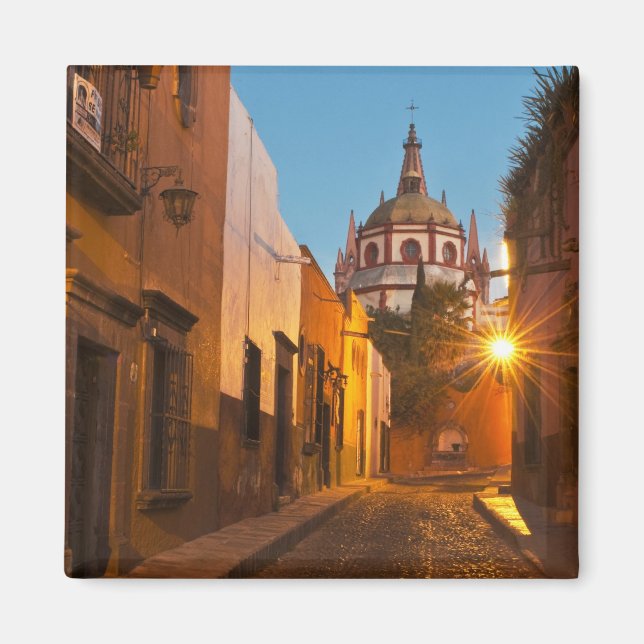 Imán San Miguel de Allende, México. Crédito: Nancy (Frente)