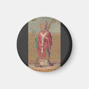 Imán San Patricio Apóstol de Irlanda