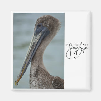 Imán San Pedro Pelican 2x2 Magnet