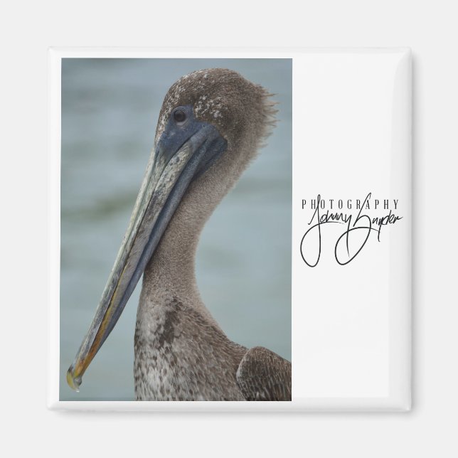 Imán San Pedro Pelican 2x2 Magnet (Frente)