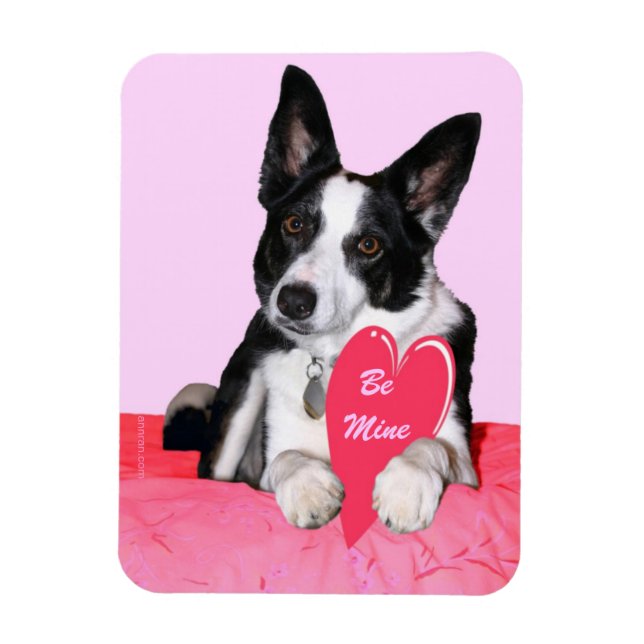 Imán San Valentín - "Magpie" (Vertical)