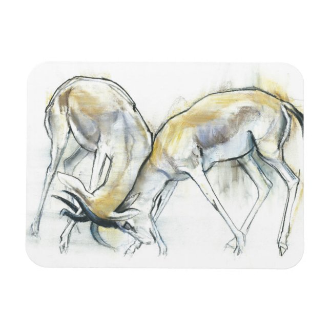 Imán Sand Gazelles 2009 5 (Horizontal)