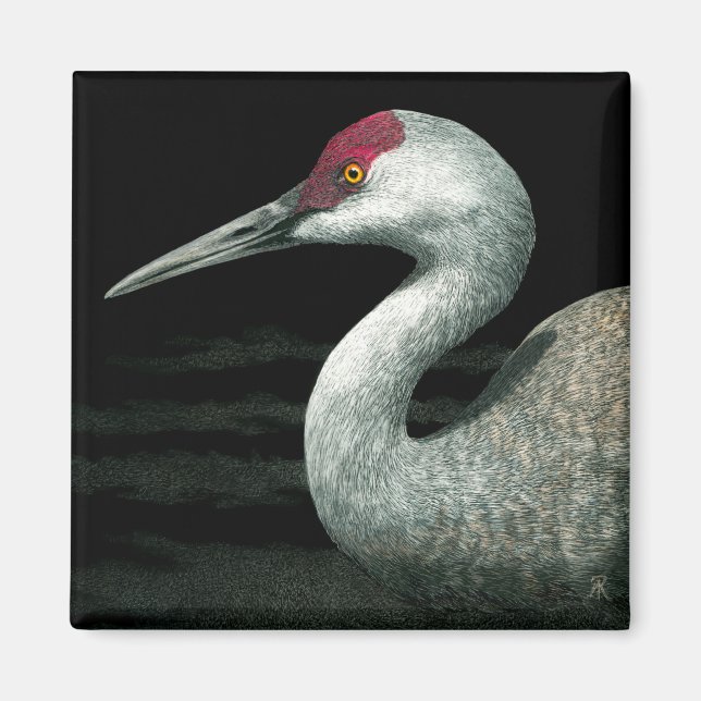 Imán Sandhill Crane Magnet - Grassland Grace (Frente)