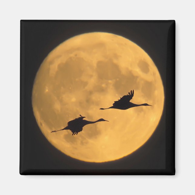 Imán Sandhill Cranes | Reserva Nacional de Vida Silvest (Frente)