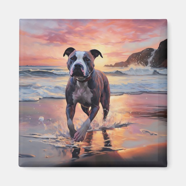 Imán Sandy American Staffordshire Dog on Beach Sunset (Frente)