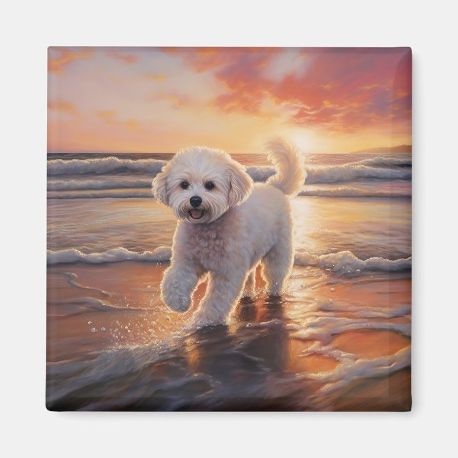 Imán Sandy Paws Bichon Frise Dog en Beach Sunset (Frente)