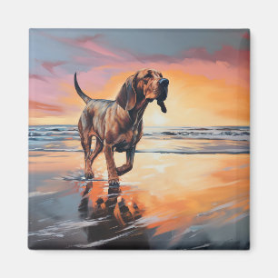 Imán Sandy recorre un perro sangriento al atardecer en