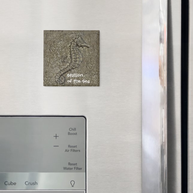 Imán Sandy Textured Seahorse Photography (In situ (nevera))