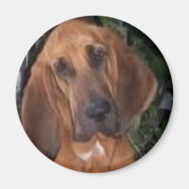 Imán sangre (Frente)