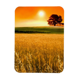 Imán Sangre-Red Sunset