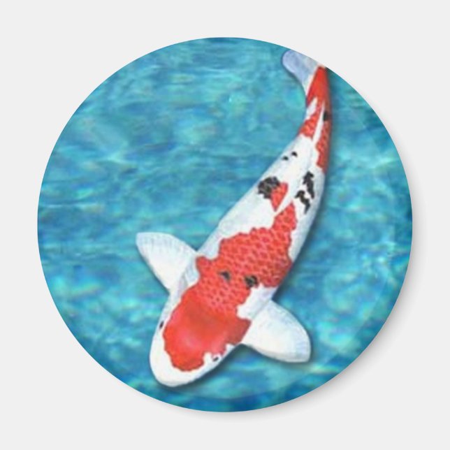 Imán Sanke Magnet (Frente)