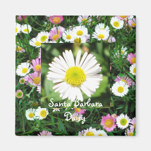 Imán Santa Barbara Daisy