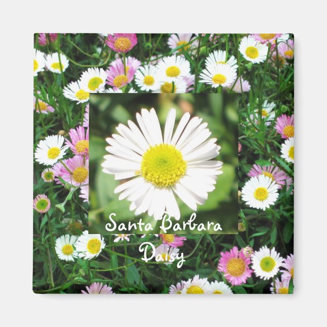 Imán Santa Barbara Daisy (Frente)