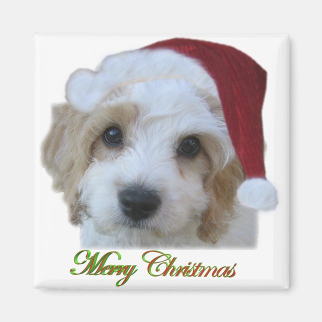 Imán Santa Chase (Frente)