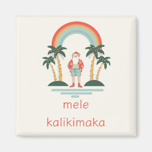 Imán Santa Cruz/Arcoiris/Palmas