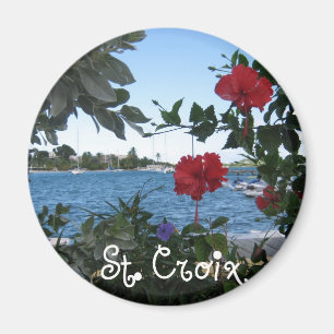 Imán Santa Cruz, V.I.