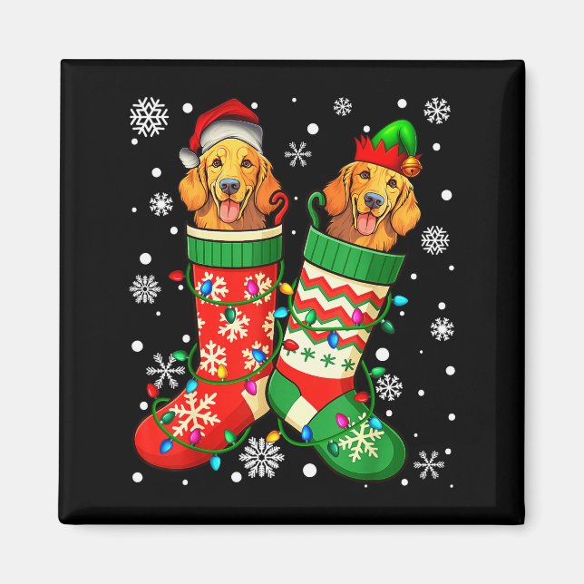 Imán Santa Elf Golden Retriever Dog In Christmas Socks  (Frente)