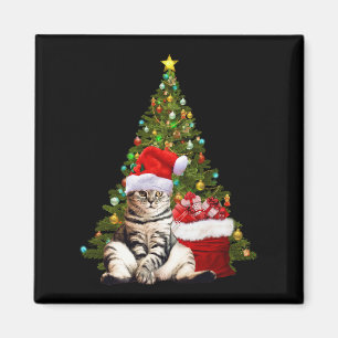 Imán Santa Gato