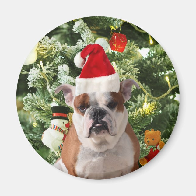 Imán Santa Hat Bulldog Árbol de Navidad Snowman Gift Bo (Frente)