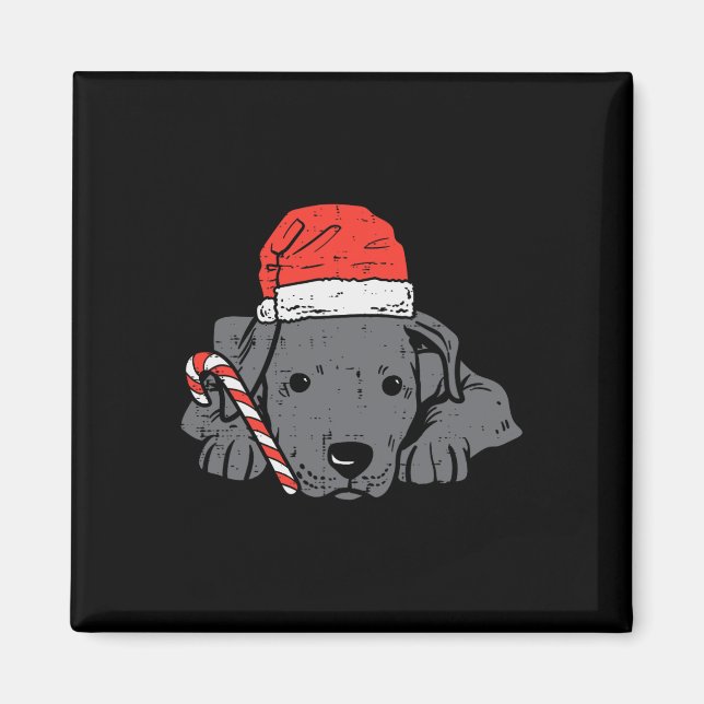 Imán Santa hat pitbull navidades de perro navidad mujer (Frente)