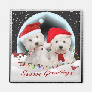 Imán Santa Pals Occidental