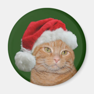 Imán Santa Paws