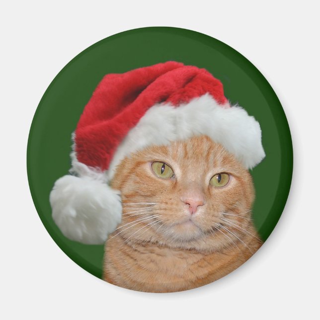 Imán Santa Paws (Frente)