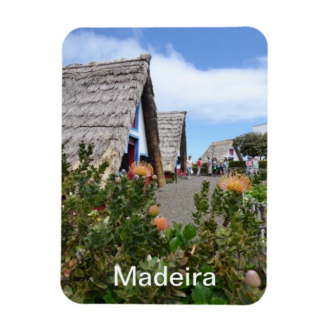 Imán Santana - Madeira (Vertical)