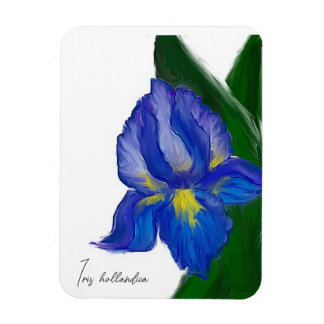Imán Sapphire Iris