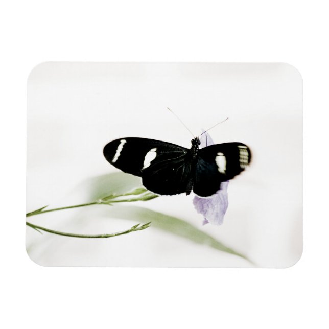 Imán Sara Premium Magnet (Horizontal)