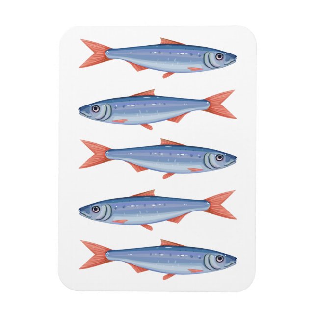 Imán Sardinas (Vertical)