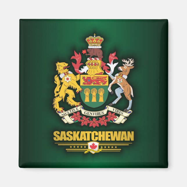 Imán Saskatchewan COA (Frente)
