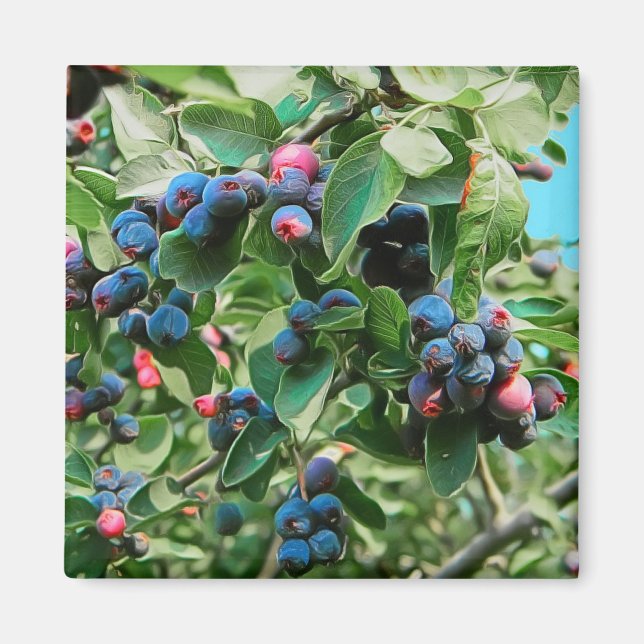 Imán Saskatoon (Frente)