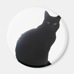 Imán Sauce el gato negro