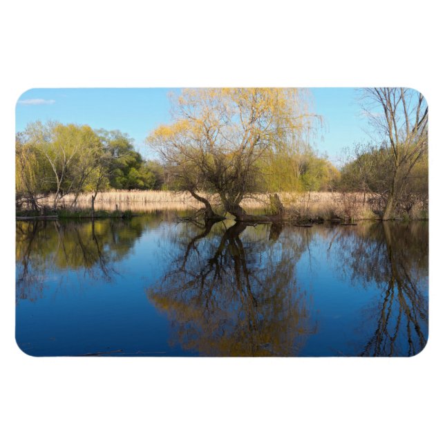 Imán Sauces Cañas y Estanque en Primavera (Horizontal)