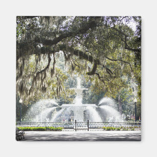 Imán Savannah Forsyth Fountain Magnet
