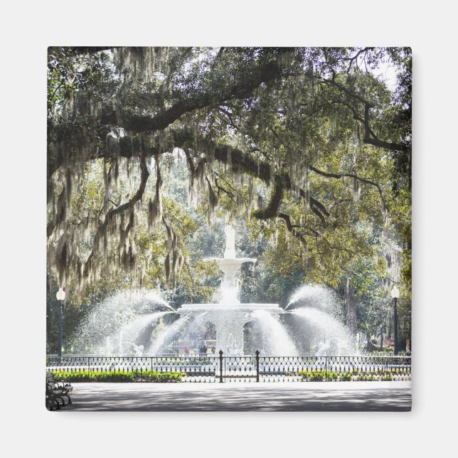 Imán Savannah Forsyth Fountain Magnet (Frente)