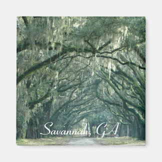 Imán Savannah, GA Magnet