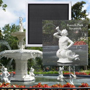 Imán Savannah Georgia Forsyth Park Fuente Triton