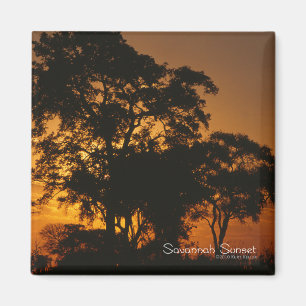 Imán Savannah Sunset