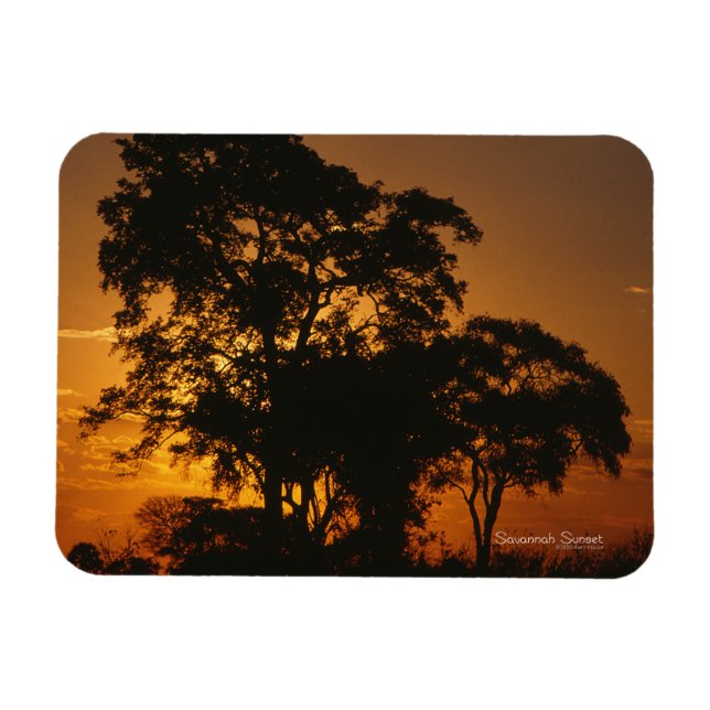 Imán Savannah Sunset Photo Magnet (Horizontal)
