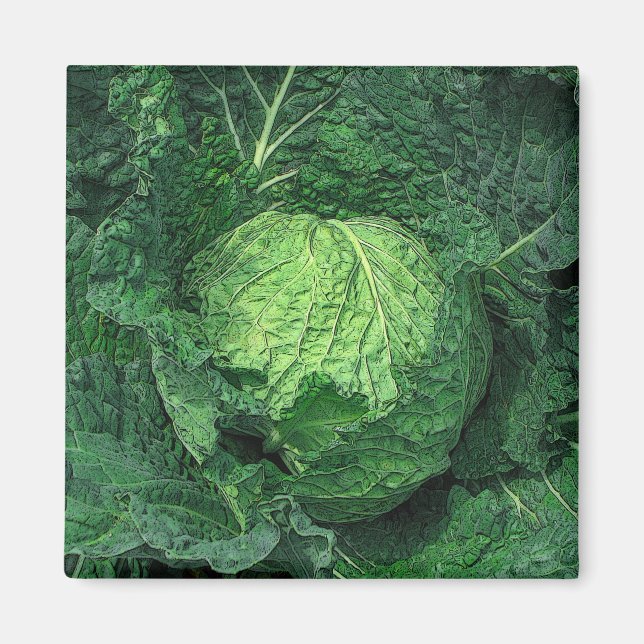 Imán Savoy Cabbage (Frente)