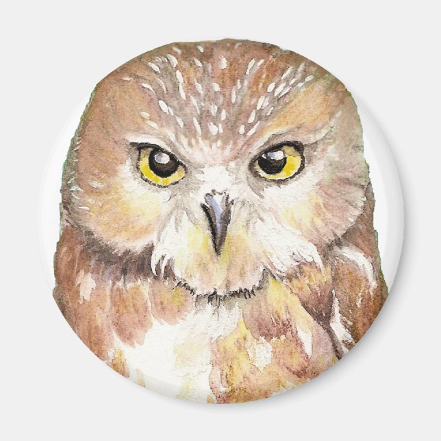 Imán Saw Whet Owl Magnet (Frente)